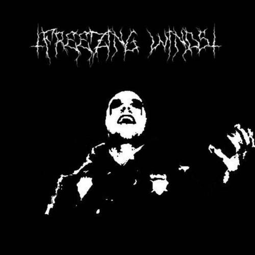 Freezing Winds : Demo 2012 Freezing Winds : Demo 2012